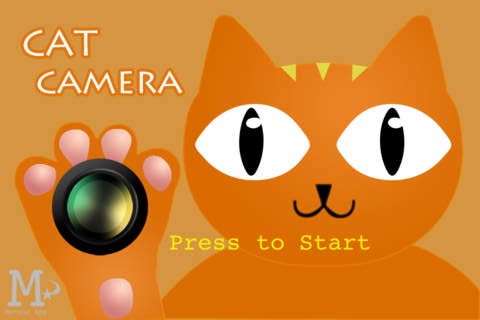 cat camera