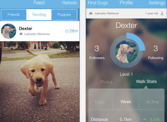 Woof iPhone App for Dog Lovers