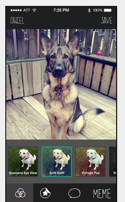 BarkCam for iPhone: Pet Photography