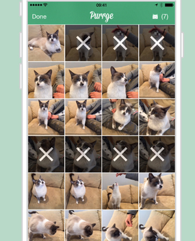 Purrge for iPhone: Delete Photos fast