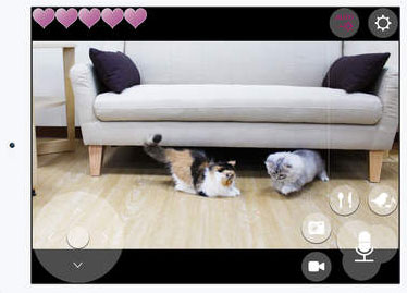 Pawbo for iPhone: Talk & Feed Your Pet