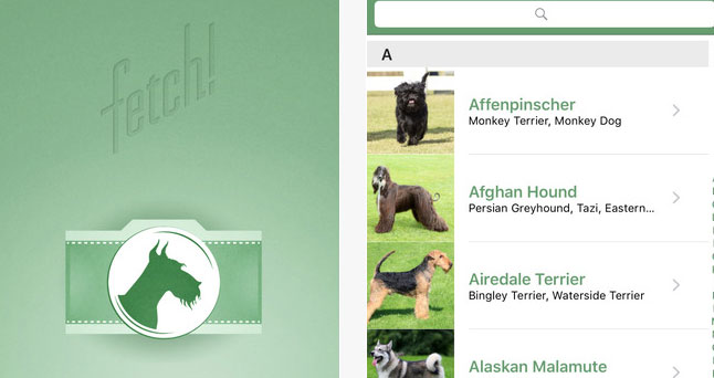 Fetch!: Microsoft App Recognizes Dogs