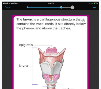 Brainscape Smart Flashcards for iPhone
