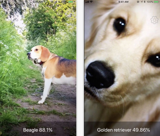 Dog Identifier for iPhone