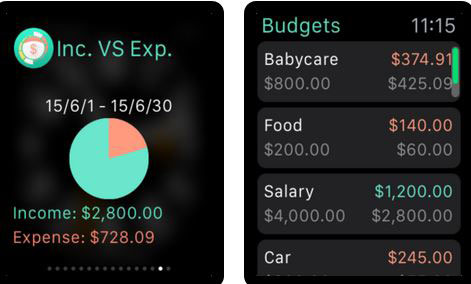 Budget Wiz Pro for iPhone & iPad
