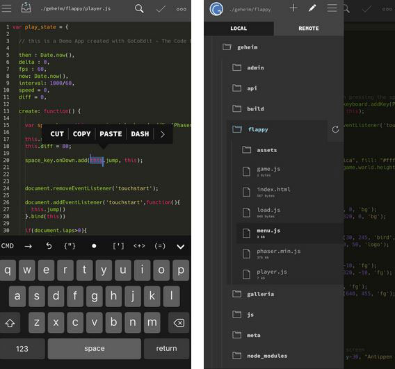 GoCoEdit: Code & Text Editor for iPhone