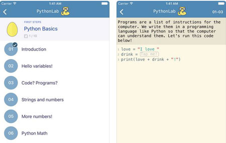 Python Lab for iPhone: Learn Coding