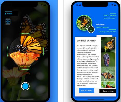 Insect Identification for iPhone