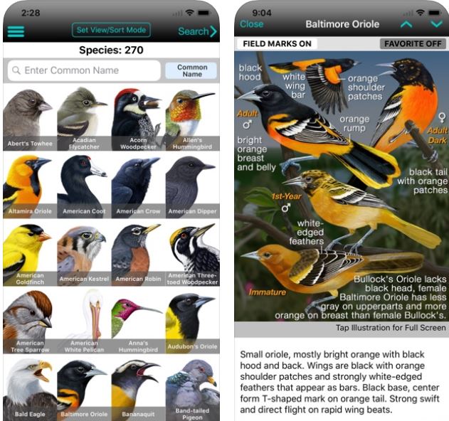 iBird Yard+ Guide to Birds for iPhone