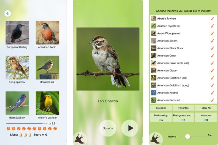Chirp! Bird Songs & Calls for iPhone