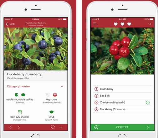 Wild Berries and Herbs Pro for iPhone
